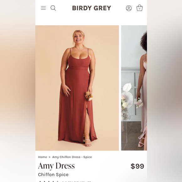 Birdy Grey Chiffon Spice Bridesmaids Dress - Picture 1 of 15